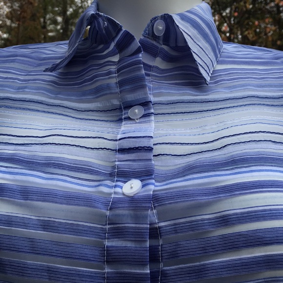 Sheer blue striped button down size 10 - Picture 2 of 6